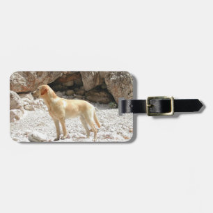 LR yellow lab full Luggage Tag