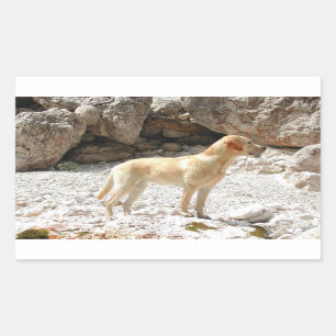 LR yellow lab full Rectangular Sticker