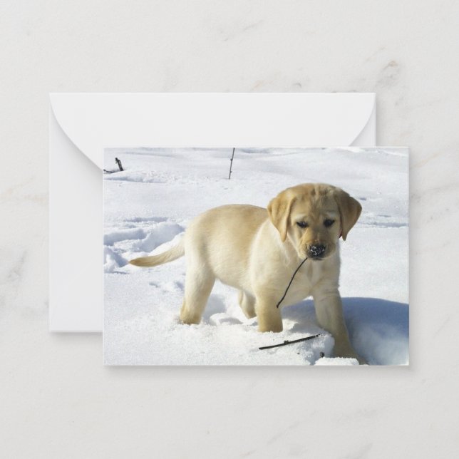 LR yellow lab puppy in snow Card (Front)