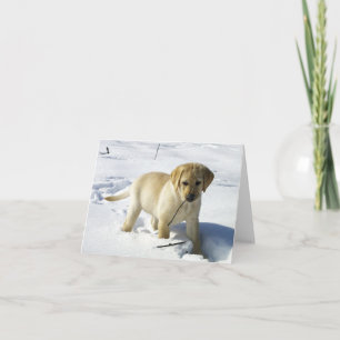LR yellow lab puppy in snow Card