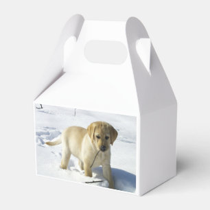 LR yellow lab puppy in snow Favour Box