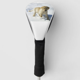 LR yellow lab puppy in snow Golf Head Cover