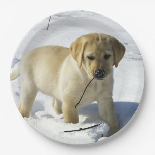 LR yellow lab puppy in snow Paper Plate