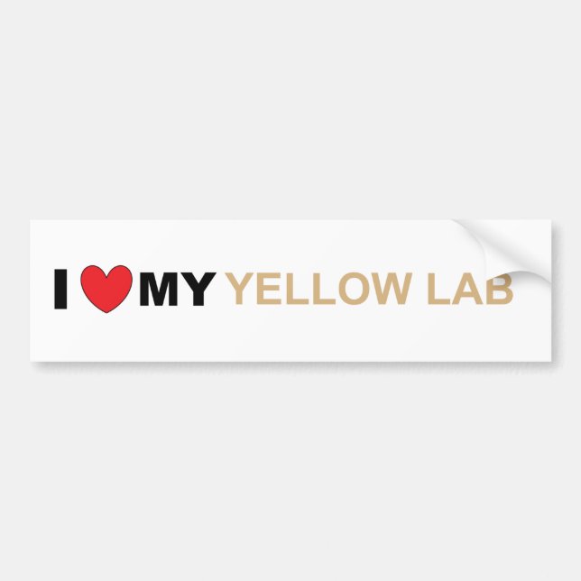 LR yellow love Bumper Sticker (Front)