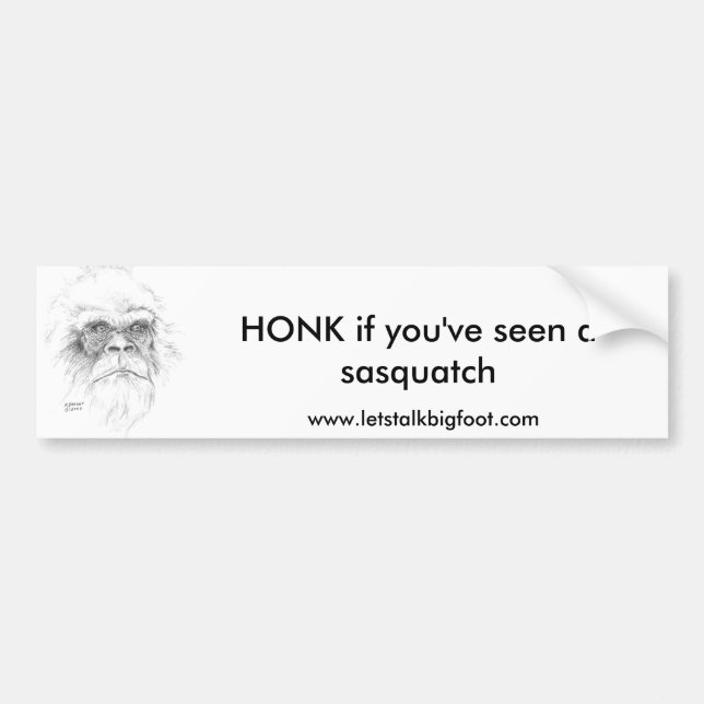 LTB Bumper Sticker (Front)