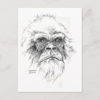 LTB Postcards