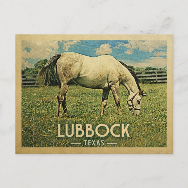 Lubbock Texas Postcard Horse Farm - Vintage Travel (Front)