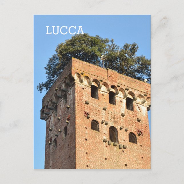 Lucca, Italy Postcard (Front)
