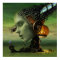 Lucid by J. Matthew Root
