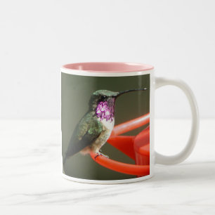 Lucifer Hummingbird Mug, right-handled Two-Tone Coffee Mug