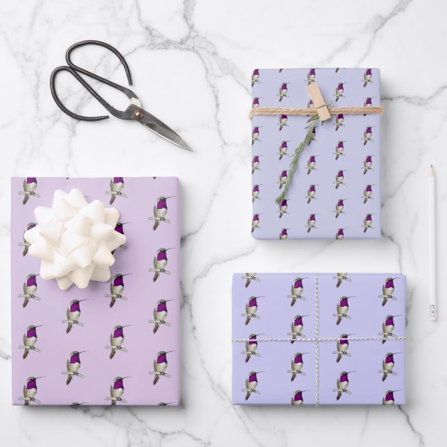 Lucifer Hummingbird Pattern Wrapping Paper Sheets (Front)