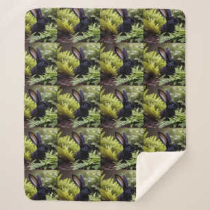 Lucifer The Black Little Bunny, (M) Sherpa Blanket