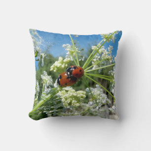 luck beetle cushion