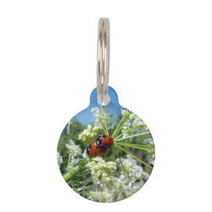 luck beetle pet tag