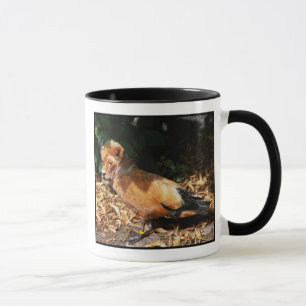 Luck mug