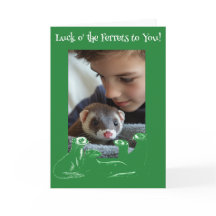 Luck o' the Ferrets St. Patrick's Day