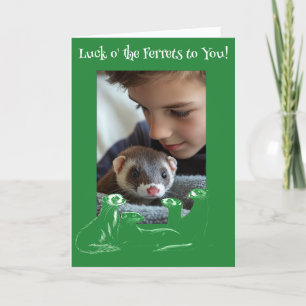 Luck o' the Ferrets St. Patrick's Day Holiday Card