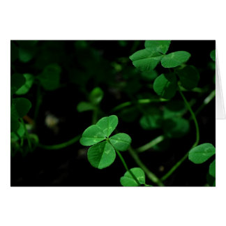 Lucky