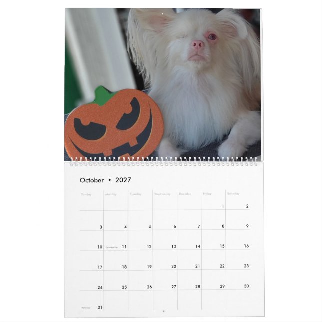 Lucky 2020 Calendar (Oct 2027)