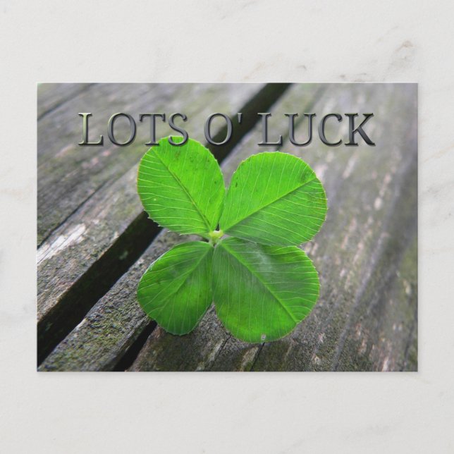 Lucky 4 leaf clover postcard (Front)