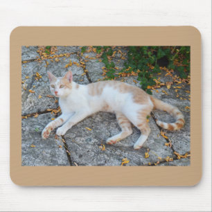 Lucky awake cat mouse pad