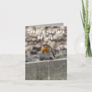 Lucky Bird Poo Good Luck Card