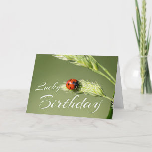 Lucky Birthday with a little ladybug! Card