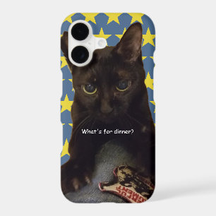 Lucky Black Cat w/Stars