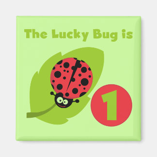 Lucky Bug 1st Birthday T-shirts and Gifts Magnet