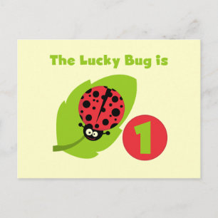 Lucky Bug 1st Birthday T-shirts and Gifts Postcard