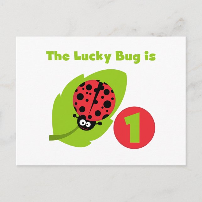 Lucky  Bug 1st Birthday T-shirts and Gifts Postcard (Front)