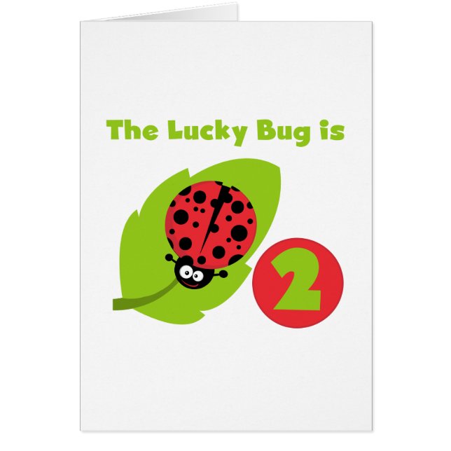 Lucky Bug 2nd Birthday T-shirts and Gifts (Front)