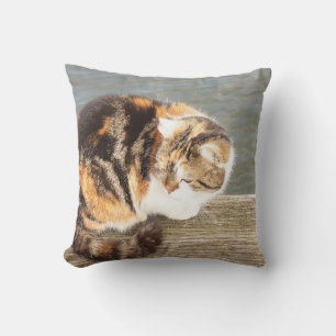 lucky cat, multi-lane on a board at the water cushion