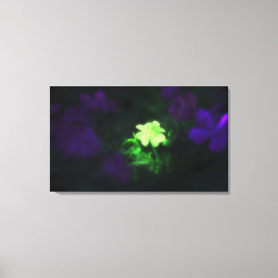 Lucky Charm (Stretched Canvas) Canvas Print