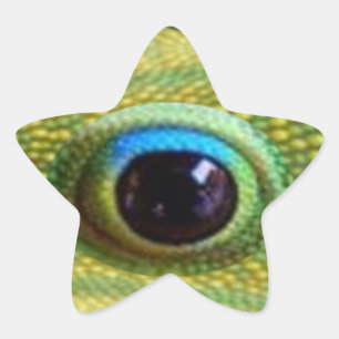 Lucky Chinese Dragon's Eye - WILL KILL EVIL Star Sticker