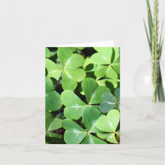 Lucky Clover Note Card