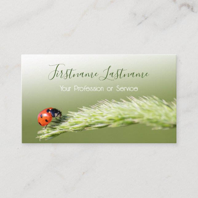 Lucky customers with lucky ladybugs! business card (Front)