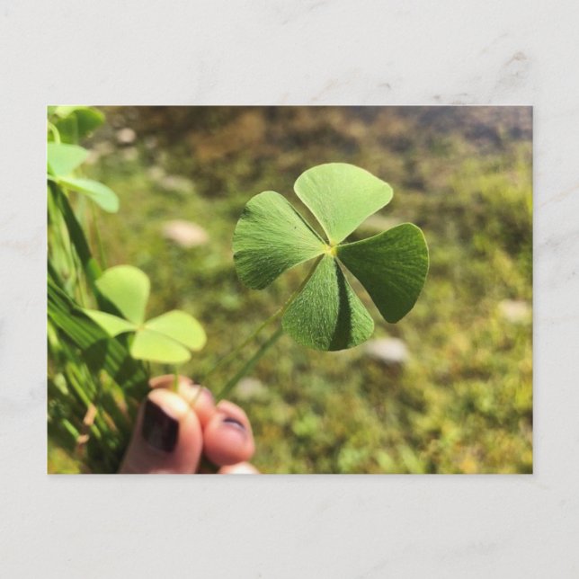 Lucky Day Postcard (Front)