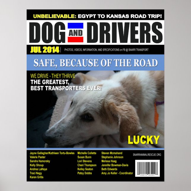 Lucky - Dog and Driver Poster (Front)