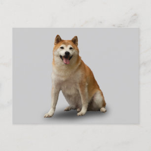 LUCKY DOG POSTCARD