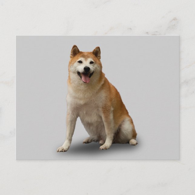 LUCKY DOG POSTCARD (Front)