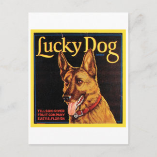 Lucky Dog Vintage Crate Label Postcard