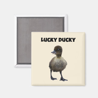 Lucky Duck Funny Cute Duckling Bird Photo Art Magnet