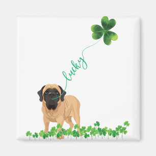 Lucky English Ma Dog Shamrock St Patrick day Magnet