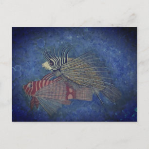 Lucky Fish Art Painting Postcard