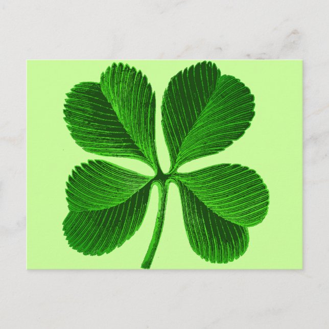 Lucky Four Leaf Clover Postcard (Front)