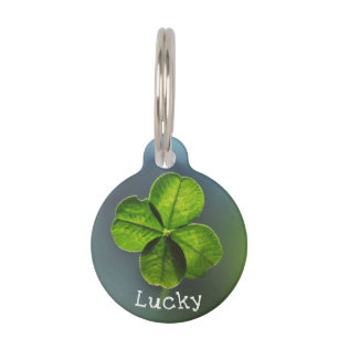 Lucky Green Four Leaf Clover Pet Tag