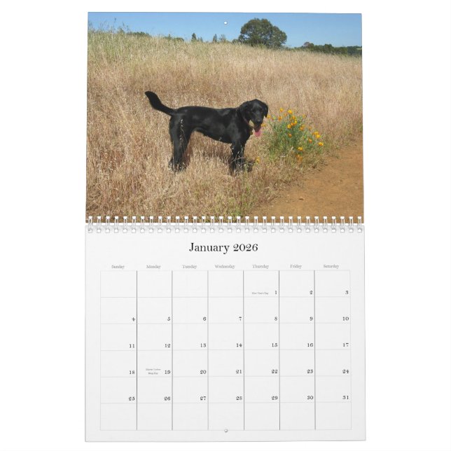 Lucky Hounds Labrador Retriever Calendar 2013 (Jan 2026)