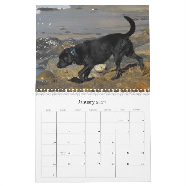 Lucky Hounds Retriever Calendar 2012 (Jan 2027)