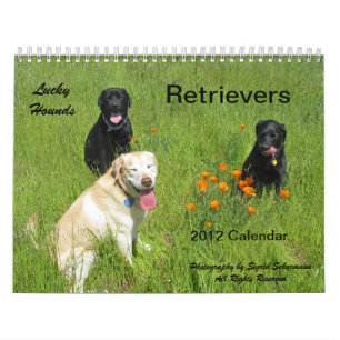Lucky Hounds Retriever Calendar 2012
